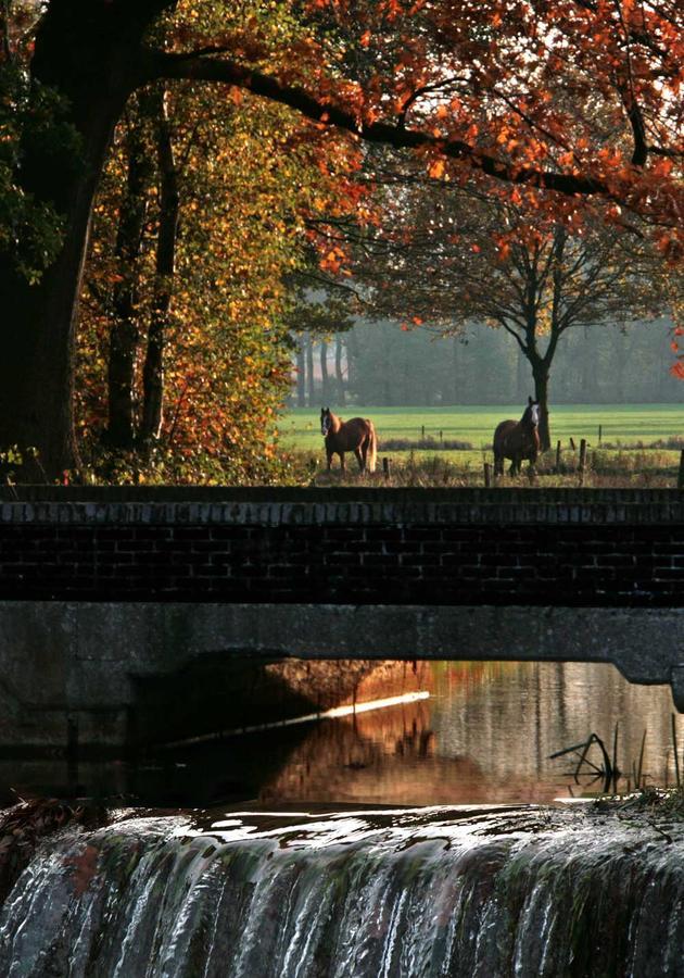 Beerze Brouwerij Hotel Vessem Exteriér fotografie